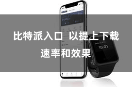 比特派入口  以提上下载速率和效果
